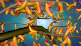 Fence, Woody Plant, Barrier, Wheel Tree, Tree, Colorful