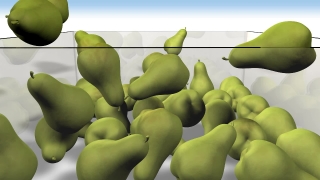 Shell Bean, Fresh Bean, Common Bean, Pea, Peas, Vegetable
