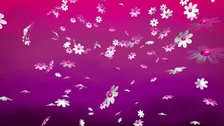 Bangle, Snow, Winter, Decoration, Card, Design