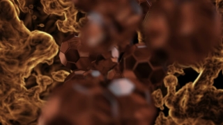 Honeycomb, Framework, Supporting Structure, Structure, Texture, Pattern
