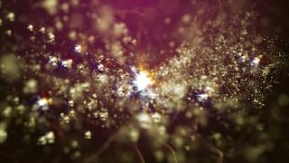 Star, Firework, Light, Design, Night, Space