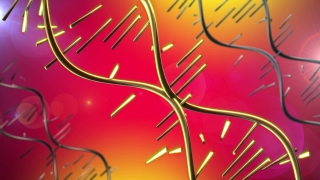 Paper Clip, Digital, Space, Clip, Science, Graphic