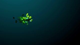 Light, Design, Clover, Glow, Shiny, Art