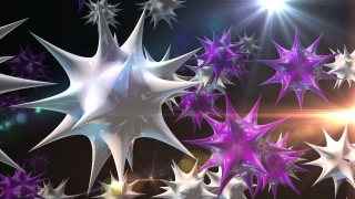 Invertebrate, Starfish, Echinoderm, Polyp, Animal, Texture