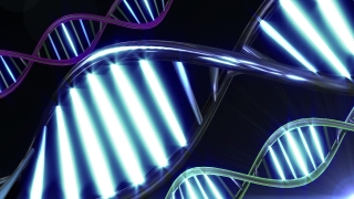 Digital, Grille, Design, Light, Backdrop, Fractal