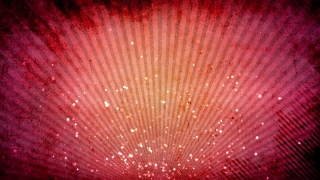 Shrub, Firework, Woody Plant, Light, Vascular Plant, Explosion