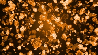 Design, Chandelier, Graphic, Wallpaper, Decoration, Ornament