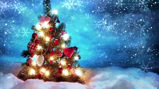 Decoration, Winter, Snow, Holiday, Snowflake, Star