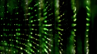 Spider Web, Web, Trap, Cobweb, Pattern, Wallpaper