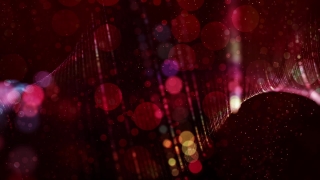 Light, Firework, Lights, Night, Holiday, Color
