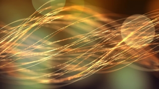 Fiber, Light, Wheat, Design, Shape, Motion