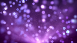 Firework, Light, Night, Design, Wallpaper, Bright