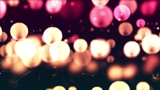 Firework, Explosive, Light, Glow, Bright, Design