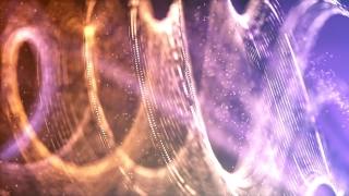 Spider Web, Web, Cobweb, Trap, Spider, Light