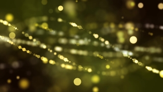 Spider Web, Web, Light, Trap, Pattern, Wet