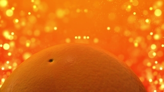Citrus, Fruit, Edible Fruit, Orange, Grapefruit, Mandarin