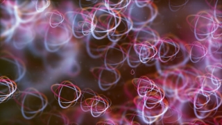 Design, Shape, Sea Squirt, Art, Light, Digital