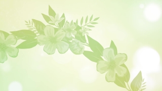 Floral, Clover, Flower, Leaf, Design, Spring