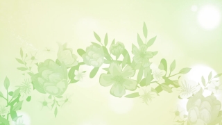 Floral, Design, Leaf, Art, Pattern, Flower