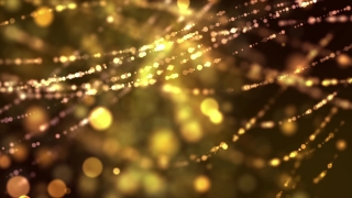 Spider Web, Web, Trap, Cobweb, Night, Star