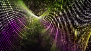 Spider Web, Web, Trap, Cobweb, Light, Design