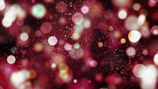 Firework, Explosive, Star, Night, Holiday, Design