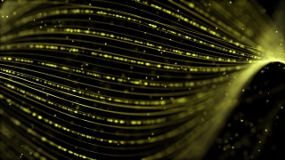 Pine, Fiber, Light, Pattern, Design, Digital