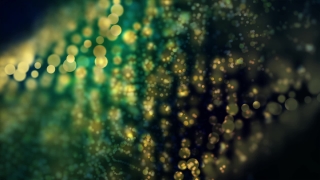 Pattern, Texture, Wallpaper, Backdrop, Light, Design