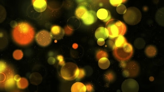 Light, Bright, Celebration, Night, Glow, Sparkle