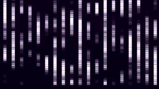 Equalizer, Electronic Equipment, Equipment, Design, Graphic, Black