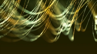 Cobweb, Spider Web, Web, Trap, Spider, Light