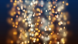 Firework, Light, Design, Star, Night, Explosive
