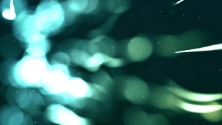 Jellyfish, Invertebrate, Swab, Light, Glowing, Lights