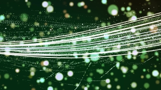 Spider Web, Web, Trap, Cobweb, Light, Design