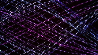 Spider Web, Web, Trap, Design, Cobweb, Pattern