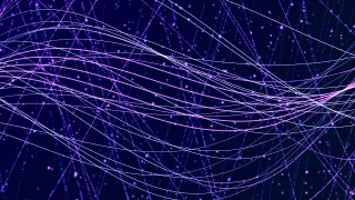 Spider Web, Cobweb, Web, Trap, Spider, Light