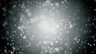 Confetti, Star, Design, Firework, Light, Snow