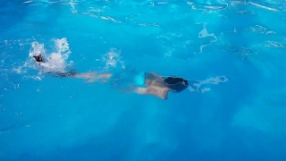Stingray, Ray, Fish, Sea, Water, Ocean