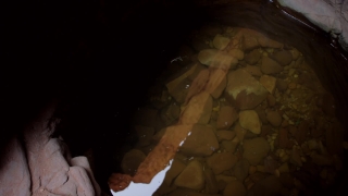 Food, Pan, Meal, Cooking Utensil, Cave, Vegetable