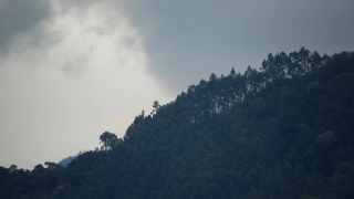 Mountain, Range, Landscape, Snow, Sky, Forest