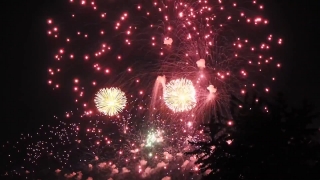 Firework, Explosive, Night, Star, Light, Holiday