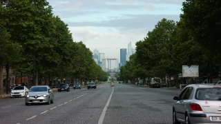 Intersection, Road, Tree, Sky, Building, Street