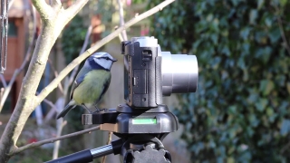 Tripod, Rack, Support, Equipment, Industry, Technology