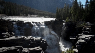 River, Forest, Water, Stream, Waterfall, Landscape