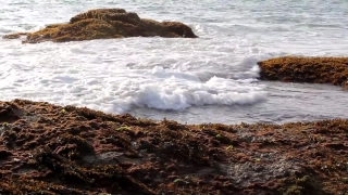 Ocean, Body Of Water, Sea, Promontory, Beach, Water
