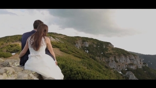 Groom, Bride, Wedding, Dress, Love, Happiness