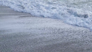 Ocean, Body Of Water, Ice, Water, Sea, Wave
