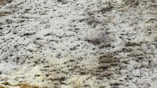 Stucco, Texture, Rough, Surface, Wall, Pattern