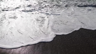 Ray, Electric Ray, Stingray, Ice, Crystal, Water