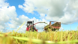 Harvester, Wheat, Farm Machine, Field, Machine, Cereal